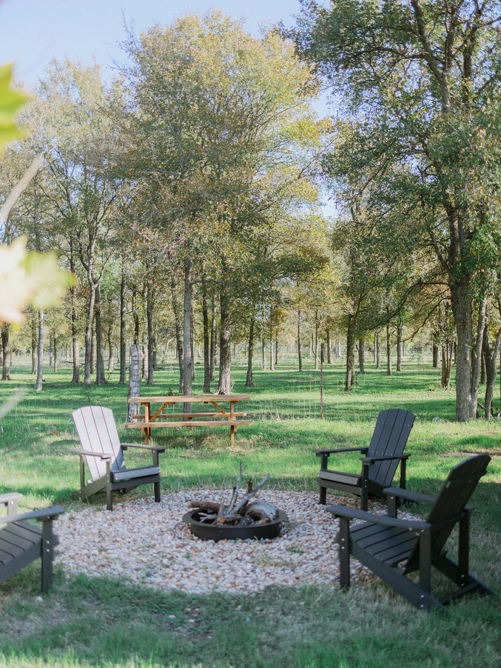 Morning light on safari tents at Rancho Moonrise with mist drifting across the open ranch