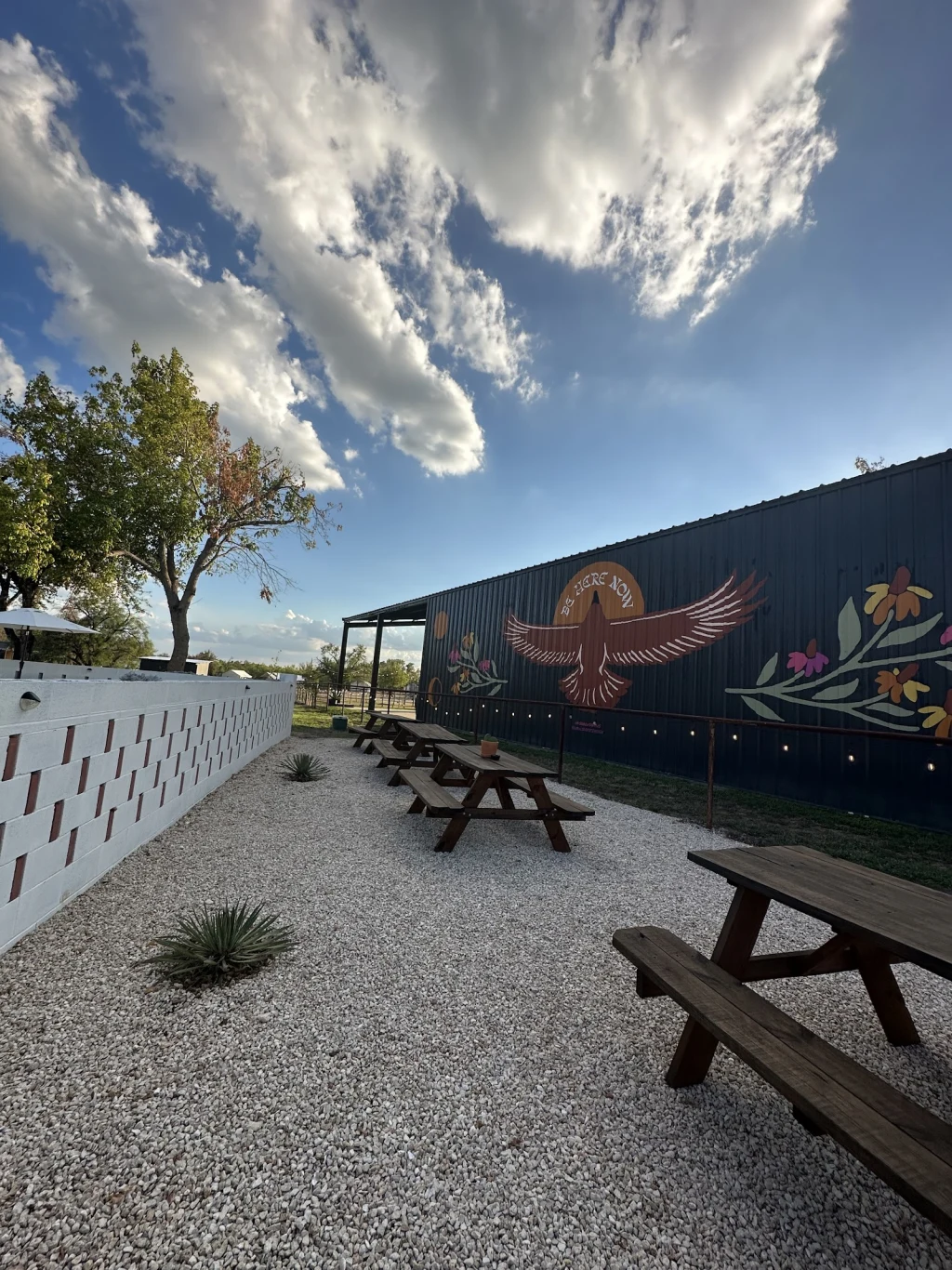 Picnic tables along the white wall with thunderbird mural in the background